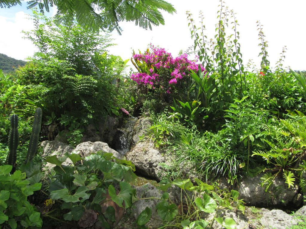 Hibis Resort Nakijin Εξωτερικό φωτογραφία